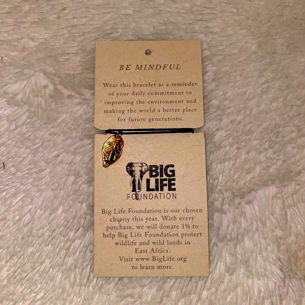 Big Life Foundation Bracelet